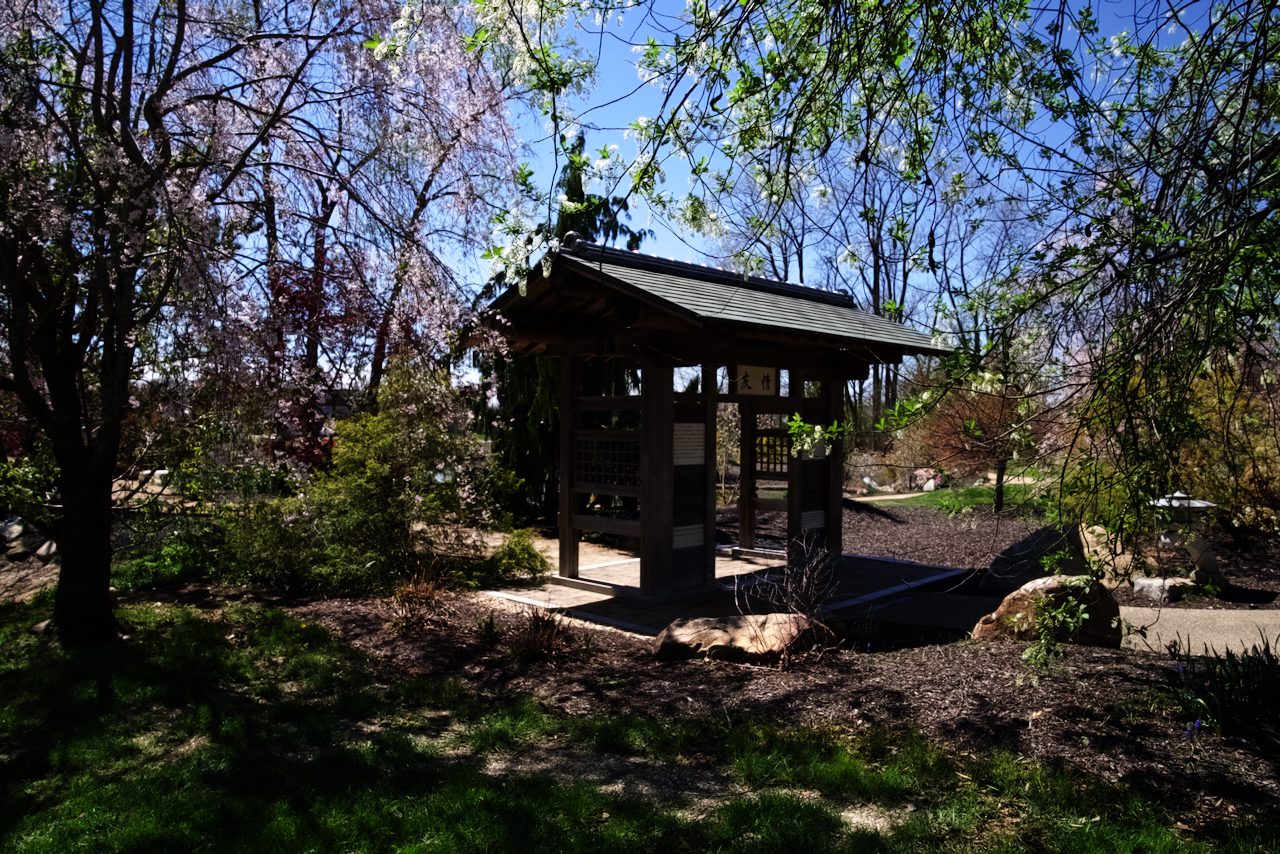 Kawachinagano Japanese Garden Reopens